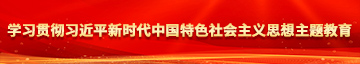 大鸡巴影院学习贯彻习近平新时代中国特色社会主义思想主题教育